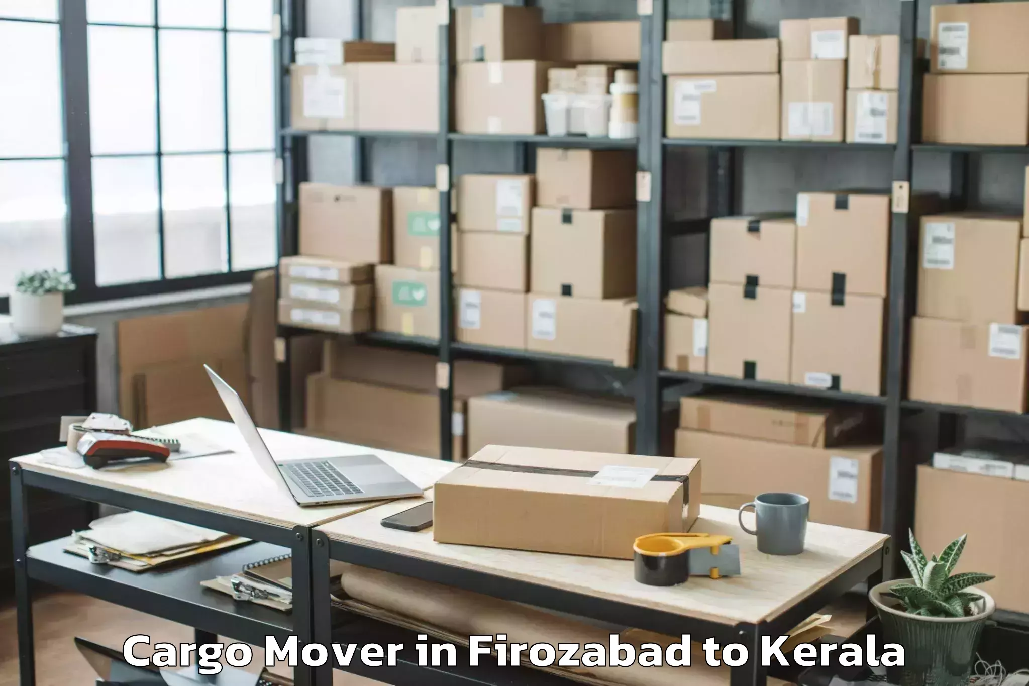 Reliable Firozabad to Thrissur Cargo Mover